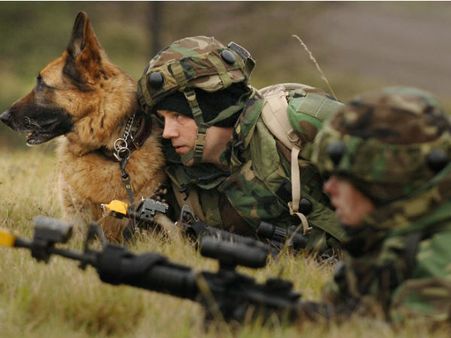 અમેરિકાની સેના પરત ફરશે