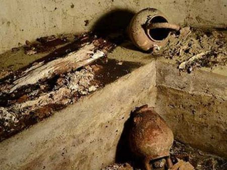 ડીએનએ મેચ થાય તો શું?