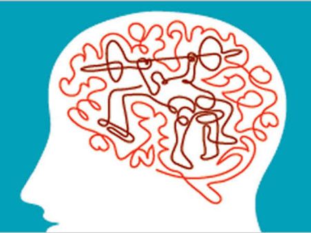 તમારા કરતા સારી યાદશક્તિ ધરાવે છે આ પ્રાણીઓ