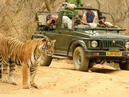 એકલા જ દેશ-દુનિયામાં ફરવા માંગે છે ભારતીય પ્રવાસીઓ