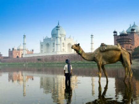 'તાજ સિટી'માં કુંવારા રહી જશે યુવકો!