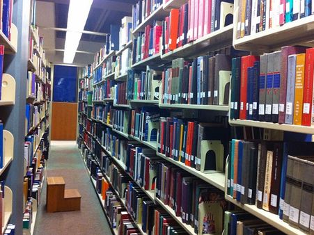 એક વિદેશી ભાષા સિખો 