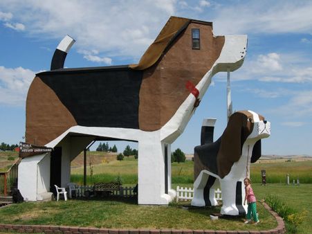  ડોગ બાર્ક પાર્ક આઇએનએન, યુએસએ