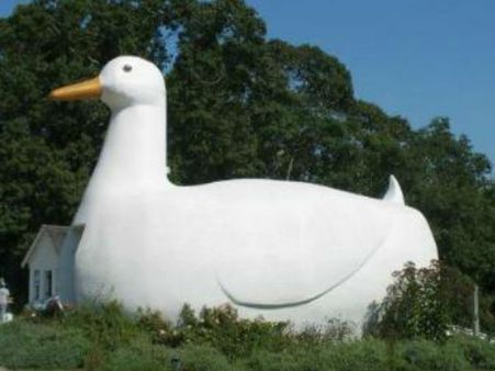 10 બીગ ડક, ન્યૂ યોર્ક, યુએસએ 