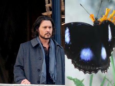 જ્હૉની ડેપને પણ અનોખા શોખ જ્હૉની ડેપને પણ અનોખા શોખ