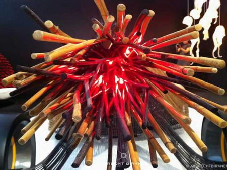 નામ છે ફોનિક્સ