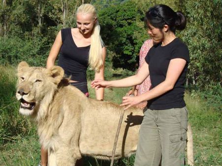 મોરિશિયસ મોરિશિયસ