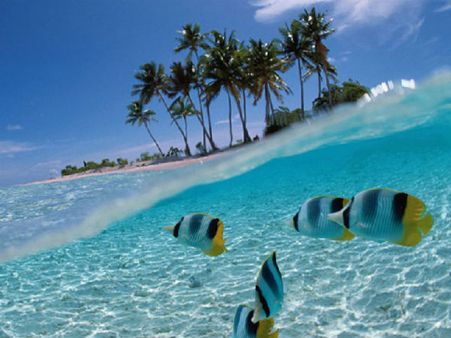 કુબા કુબા