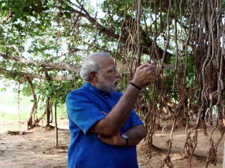 Pics : કંથારપુરના ઐતિહાસિક મહાકાલી વડ ઉપર રિઝ્યાં ‘વડનગરી’