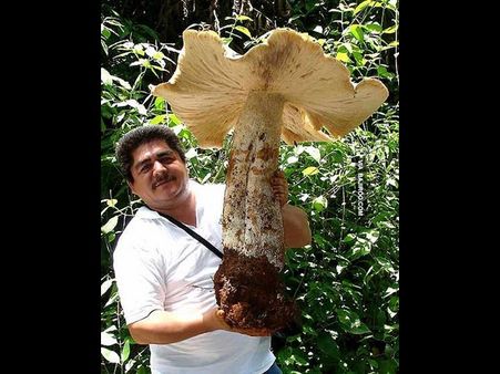 આ તસવીરો તમને આશ્ચર્ય પમાડ્યા વિના નહીં રહે