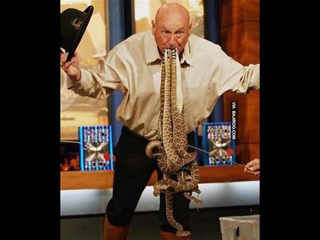 આ તસવીરો તમને આશ્ચર્ય પમાડ્યા વિના નહીં રહે