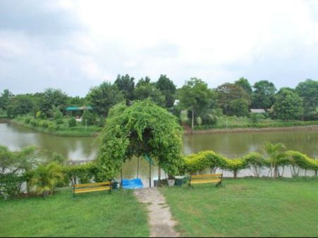 ગ્રીન પાર્કની હરિયાળી