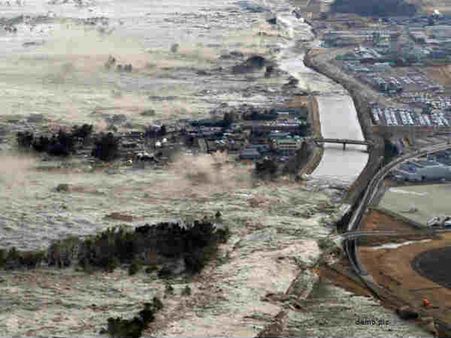 સુનામી સુનામી