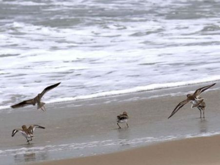 કુમારાકોમનું તળાવ