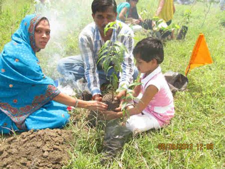 1 હજાર છોડવાઓનું રોપણ