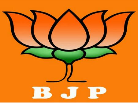 નરેન્દ્ર મોદીથી ભાજપને શું લાભ?