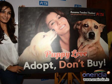 સાથે લાવ્યા હતાં દત્તક કૂતરા