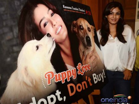 આપણા કૂતરા અનુકૂળ