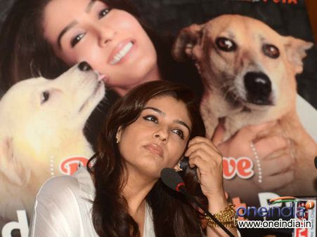 Pics : રખડતા કૂતરાને અપનાવો યારો : રવીના ટંડન