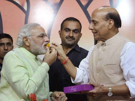 વિકાસ પુરૂષની પ્રતિભા 