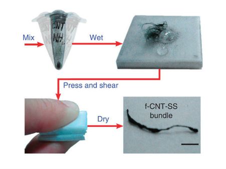 વિજ્ઞાનીઓએ કરોળિયાના જાળામાંથી બનાવી નેનો ટ્યુબ