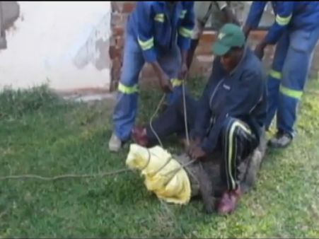 હોટેલના રૂમમાં પહોંચી ગયો મગર