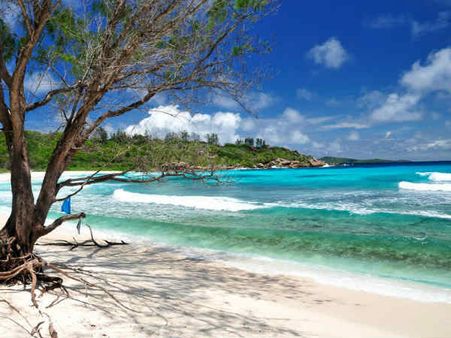 એન્સે કોકો(Anse Coco)