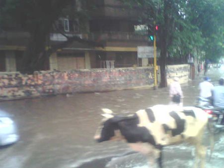 ગિરધરનગર, અસારવા 
