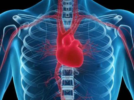 હૃદયનો કરો વિચાર 