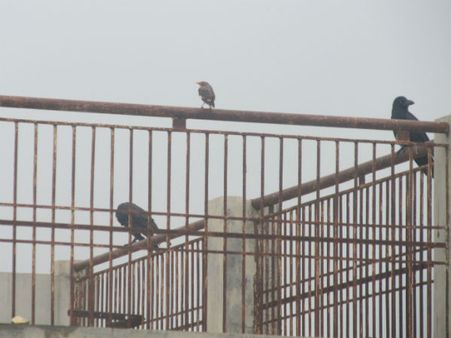 હિન્દુ શાસ્ત્રો મુજબ