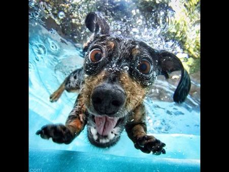 પાણીની અંદર લેવાયેલી ઇન્સ્ટ્રાગ્રામ તસવીરો