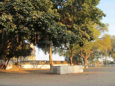 રાસ ગામે પહોંચી હતી દાંડીકૂચ 