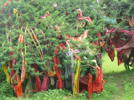 રસપ્રદ કહાણી: કંઇક આમ કર્યું અને બંધ થઇ અક્સ્માતોની વણઝાર