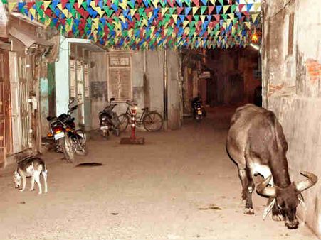 શેરી ગરબાની હયાત પરિસ્થિતિ