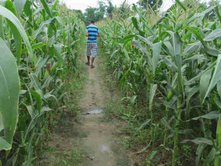 જુઓ શેરી ગરબાની રમઝટ