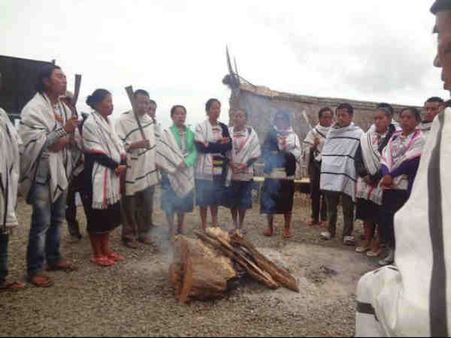 હોર્નબિલ મહોત્સવ