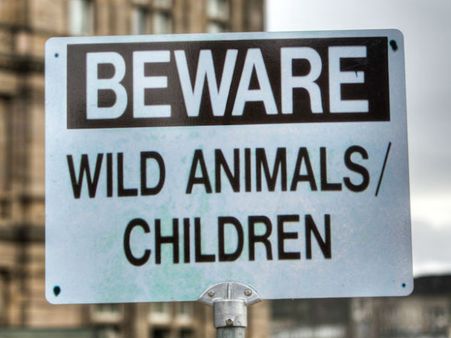 જંગલી જાનવરોથી સાવધાન