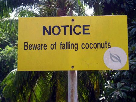 નારિયેળ પડવાનું જોખમ