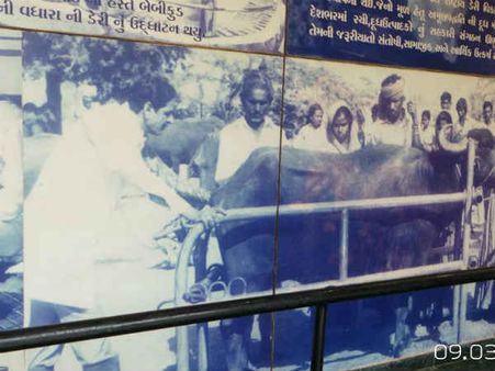 ચાર વર્ષમાં દૂધનો ભાવ 63 ટકાનો વધારો