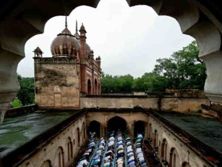 ઇલ ઉલ ઝુહા પર મુસ્લિમો ગાયોની કતલ ના કરે : દારુલ ઉલુમ