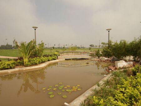 દિવસનો નજારો