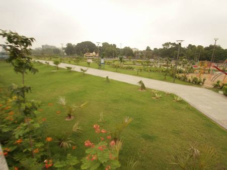 મનમોહક બગીચો