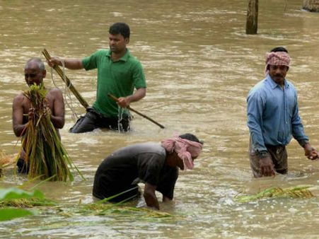પાકને નુક્સાન