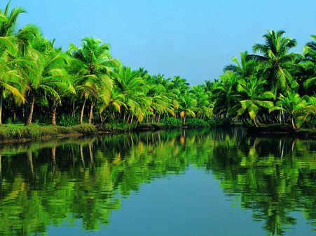 કોદિન્હી- કેરળ(ટ્વિન્સ બાળકોનું ગામ)