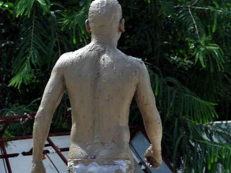 કિચડમાં સ્નાન 