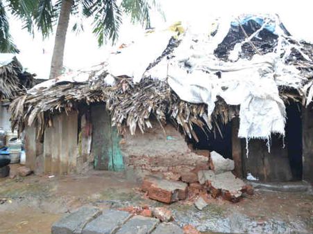 એપીમાં મોતનો વરસાદ