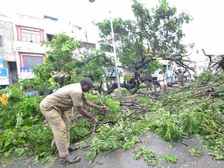 એપીમાં મોતનો વરસાદ