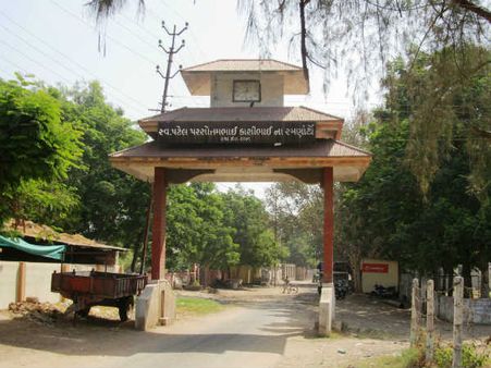 એક હજાર જેટલા યુવાનો વિશ્વના વિવિધ દેશોમાં કરે છે વસવાટ