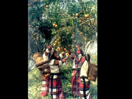 જમ્પુઇ હિલ