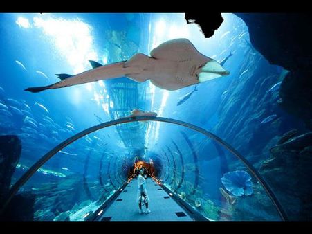 દુબઈના સુંદર લોકેશન્સ